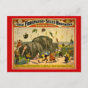 Forepaugh & Sells Brothers Elephants Circus Poster Postcard