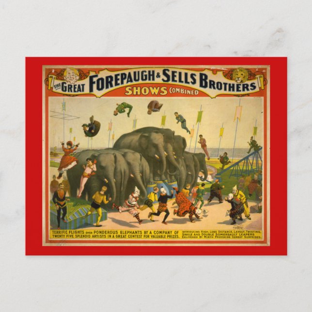 Forepaugh & Sells Brothers Elephants Circus Poster Postcard (Front)