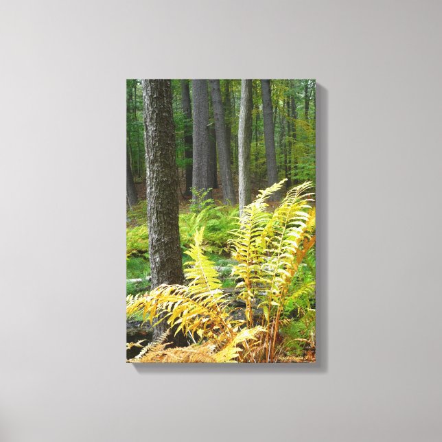 Forest (12 x 18) canvas print (Front)