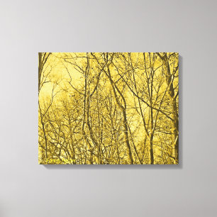 Forest Aglow Canvas Print