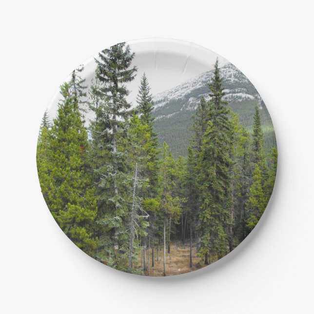 Forest and Mountain Scene Paper Plate (Front)