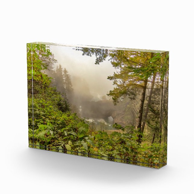 Forest and Ocean Landscape Photo Block (Right)