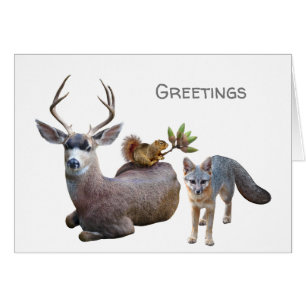 Forest Animals Greetings Card