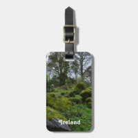 Forest at Blarney Castle