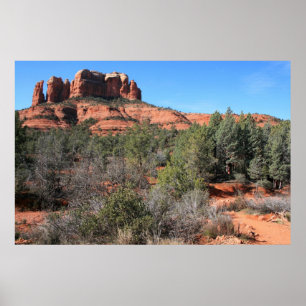 Forest at Cathedral Rock Poster