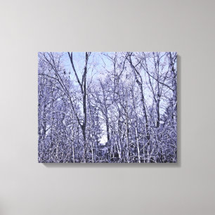 Forest At Twilight Canvas Print