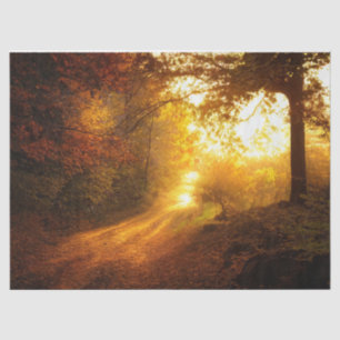 Forest Autumn 11 Decoupage Tissue Paper