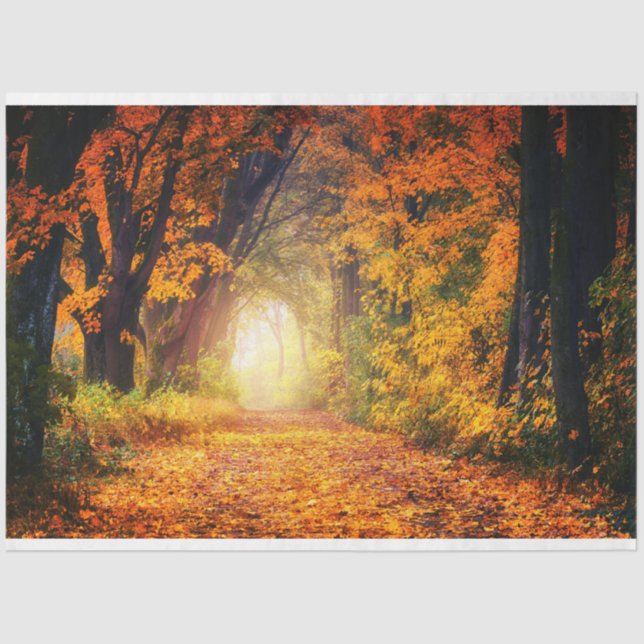 Forest Autumn 12 Decoupage Tissue Paper (Front)