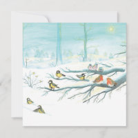 Forest birds in winter         