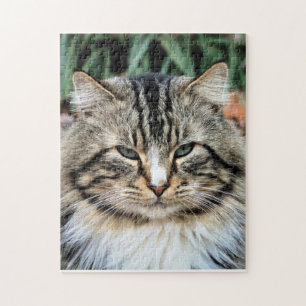 Forest Cat  Challenging Photo Jigsaw Puzzle
