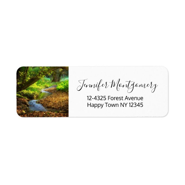 Forest Creek Beautiful Nature Landscape Photo (Front)