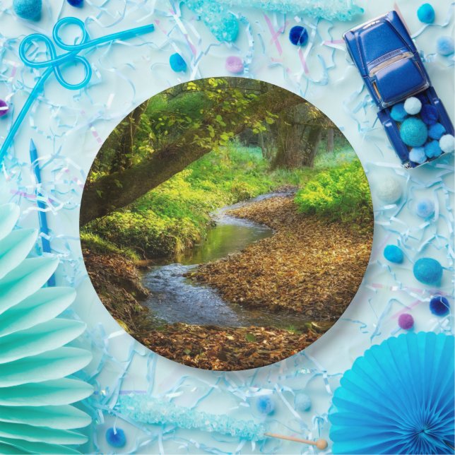 Forest Creek Beautiful Nature Landscape Photo Paper Plate (Party)