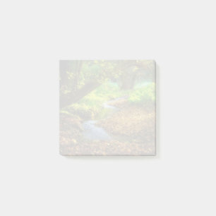 Forest Creek Beautiful Nature Landscape Photo Post-it Notes