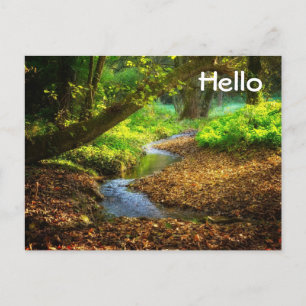 Forest Creek Beautiful Nature Landscape Photo Postcard