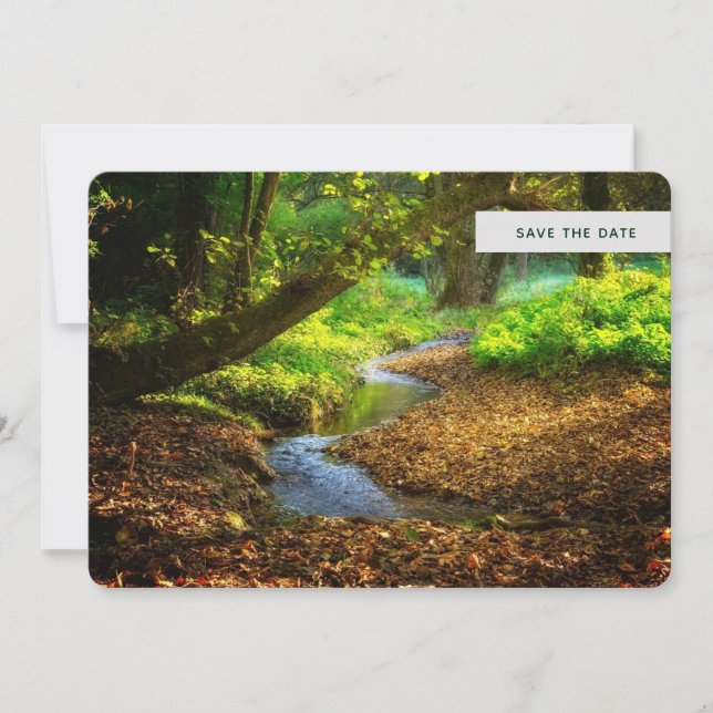 Forest Creek Beautiful Nature Landscape Photo Save The Date (Front)
