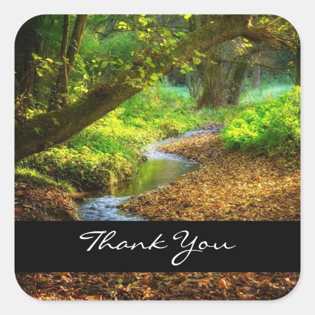 Forest Creek Beautiful Nature Landscape Photo Square Sticker (Front)