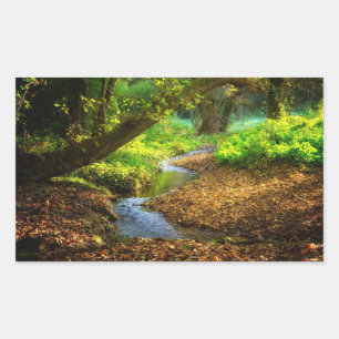Forest Creek Beautiful Nature Landscape Photo Sticker