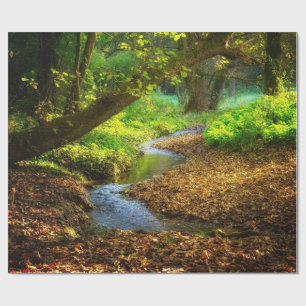 Forest Creek Beautiful Nature Landscape Photo Wrapping Paper