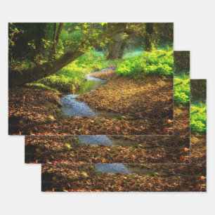 Forest Creek Beautiful Nature Landscape Photo Wrapping Paper Sheet