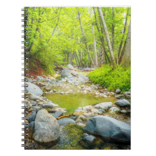 Forest Creek Notebook Peaceful Woodland Journal