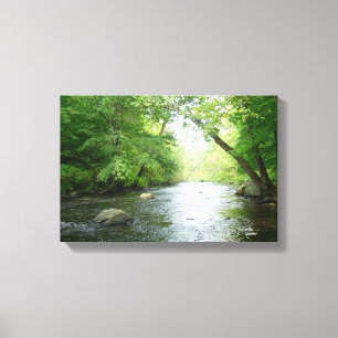 Forest creek Stretched Canvas Print