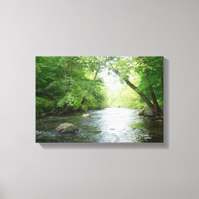 Forest creek Stretched Canvas Print (Front)