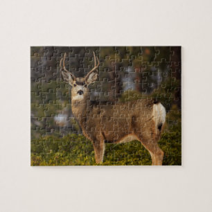 Forest Deer Buck Jigsaw Puzzle
