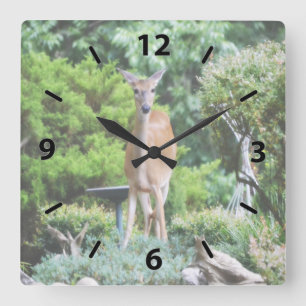 Forest Deer Square Wall Clock