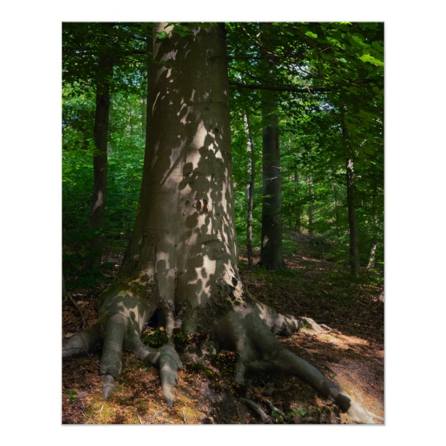 forest depression poster (Front)