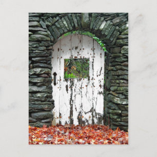 Forest Door Postcard