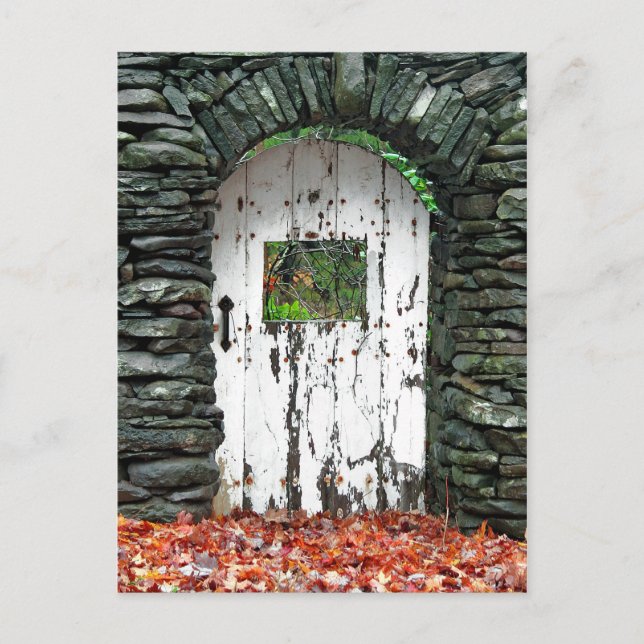 Forest Door Postcard (Front)