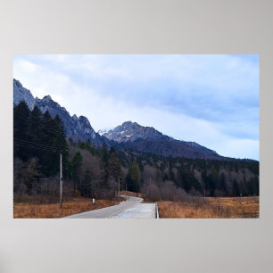 Forest Drive Scenic Landscape Wild Nature Romania Poster