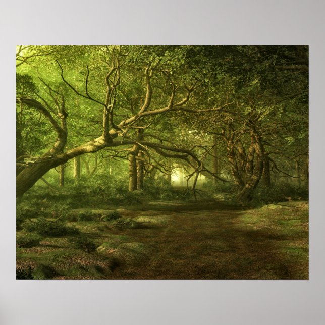 Forest fantasy poster (Front)