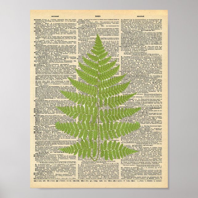 Forest Fern vintage dictionary page poster (Front)