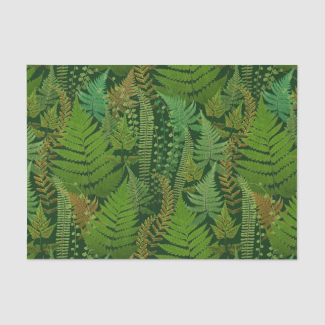Forest Ferns Tissue Paper (Front)