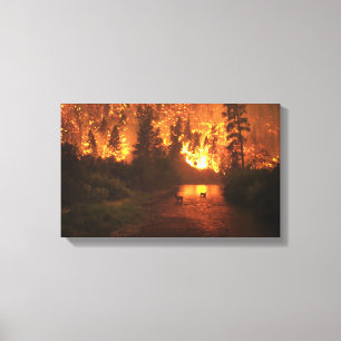 Forest Fire -Deer Canvas Print