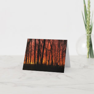 Forest Fire Sky - personalize! Card