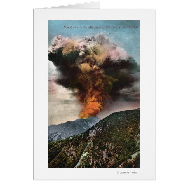 Forest Fire view in Mountains (Front)