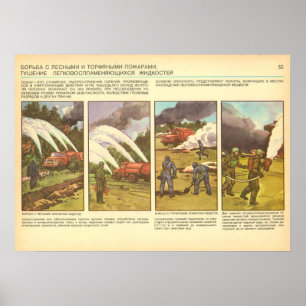 forest fires poster