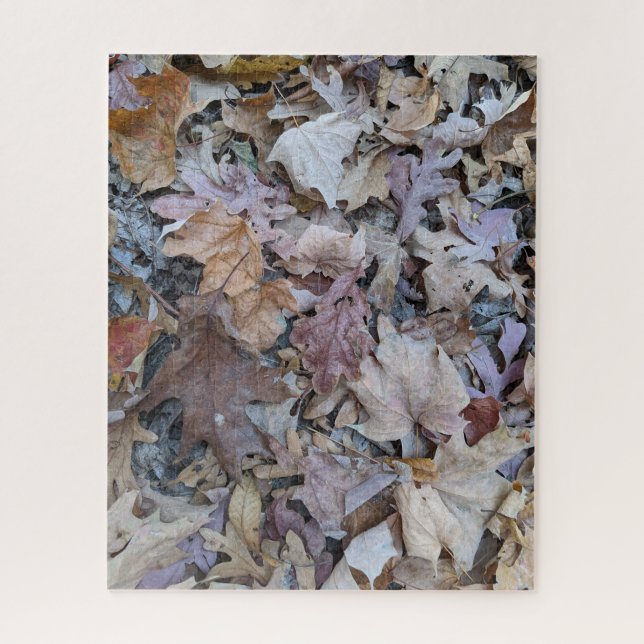 Forest Floor, 16" x 20", 520 pieces Jigsaw Puzzle (Vertical)