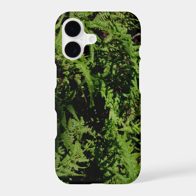 Forest Floor Ferns (Back)