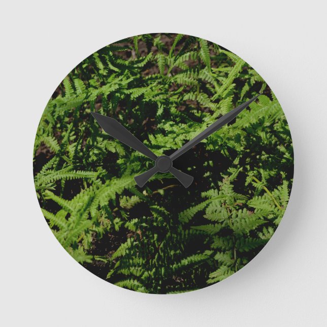 Forest Floor Ferns Round Clock (Front)