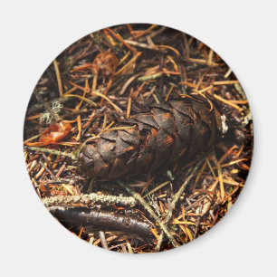 Forest Floor Magnet