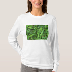 Forest Floor, Quinault Rain Forest, Olympic NP, T-Shirt