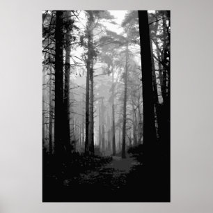 Forest fog 10 poster