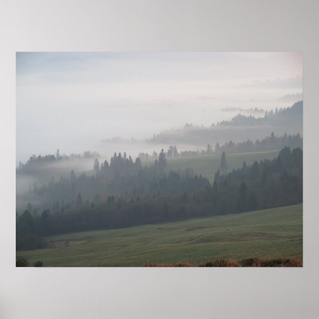 Forest fog Pieniny Poster (Front)