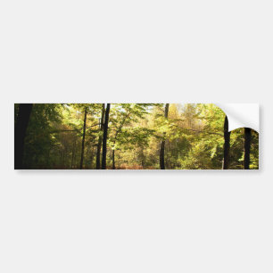Forest glade bumper sticker