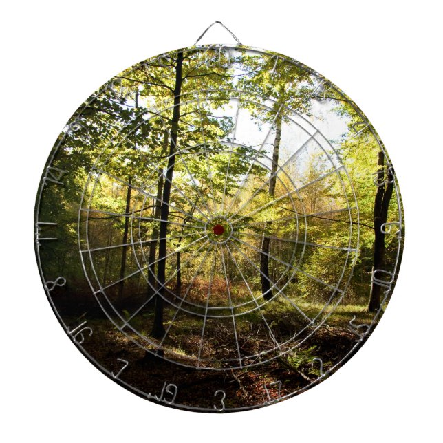 Forest glade dartboard (Front)