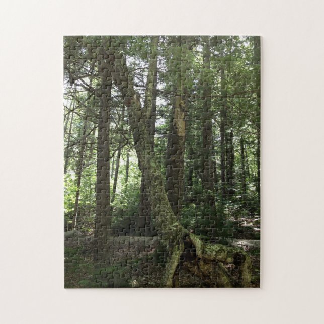 Forest hiking trail photography jigsaw puzzle (Vertical)