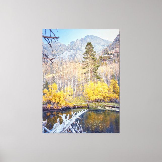 Forest in Autumn  Canvas Print (Front)